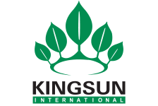 Kingsun